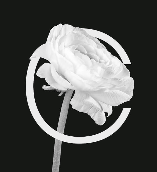Clodia Ceyte
